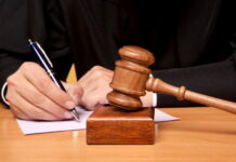 BRAĆI UHAPŠENOJ U AKCIJI “BOTANIK” PO TRI GODINE ZATVORA