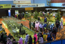 PRIJEDOR DOMAĆIN VELIKE IZLOŽBE SITNIH ŽIVOTINJA