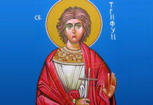 DANAS SE SLAVI SVETI TRIFUN, OVO SU NARODNA VJEROVANJA