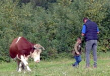IVANA I MIRKO KOS POTVRDILI DA SE NA SELU MOŽE LIJEPO ŽIVJETI (VIDEO)