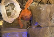 PRETRESOM PRONAĐENA MARIHUANA