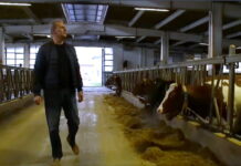 MODERNA FARMA U KOZARCU, DOBRI USLOVI – PLATA 1.750 KM ALI NEMA RADNIKA