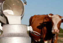 MINISTARSTVO PORUČILO: MLJEKARSTVO OSTAJE STRATEŠKI PRIORITET SRPSKE