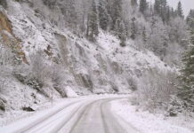 SUDAR DVA AUTOMOBILA I GRTALICE NA PUTU MRAKOVICA – PODGRACI