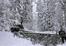APEL POSJETIOCIMA: BORAVAK NA KOZARI TRENUTNO RIZIČAN (FOTO)