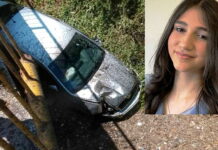 Biljana Čekić automobilom probila ogradu i sletjela s mosta kod Banjaluke
